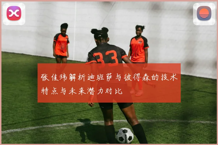 张佳玮解析迪班萨与彼得森的技术特点与未来潜力对比